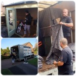  Removals South Wales
